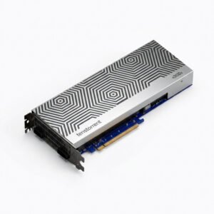 Tenstorrent Wormhole n300s